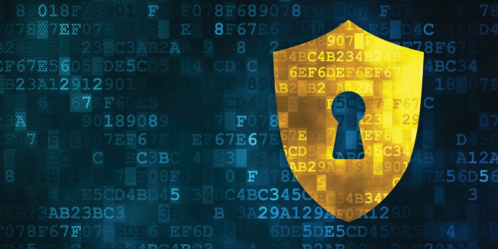 EUUS Privacy Shield Introduction and Current Status