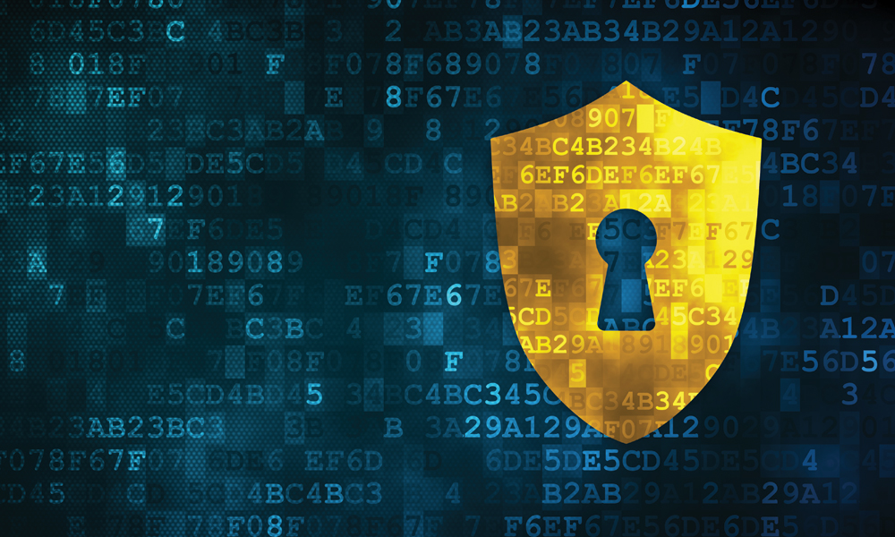 EUUS Privacy Shield Introduction and Current Status