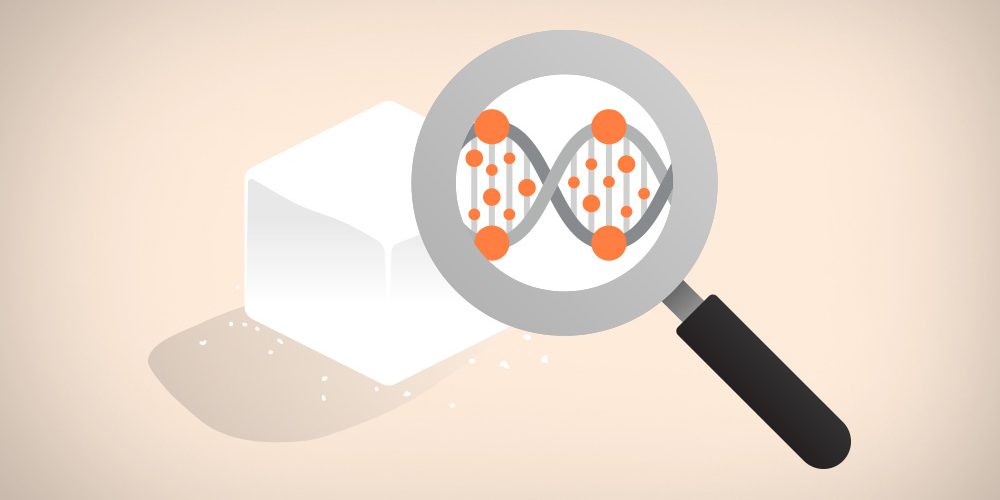 DNA-Based Storage: The Future of Data Archiving?